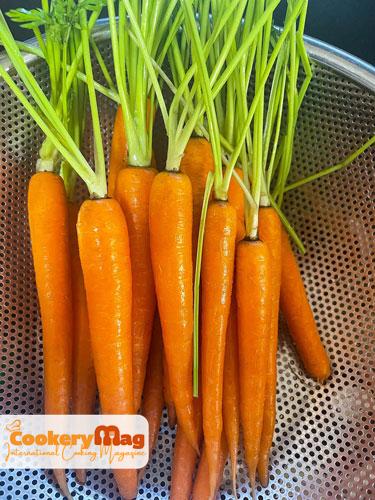 carrot colander